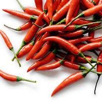 Fresh Hot Chili Peper 15g-19g
