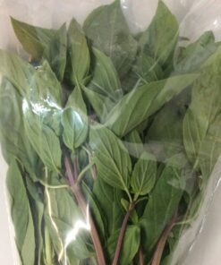 Fresh Thai Basilicum 70-79g