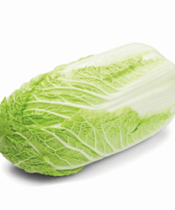 Fresh Chinese Cabbage