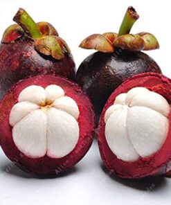 Fresh Mangosteen 300g
