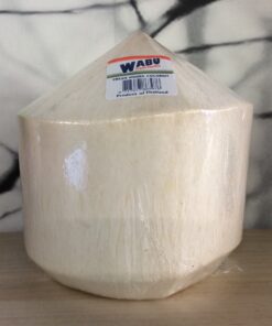 Fresh Young Coconut 1 piece