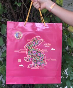 Moon Cake Special Combo 1 Yolk White Lotus 4 pieces