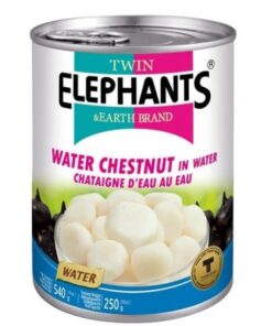 Water Chestnut in water 540g Twin Elephants