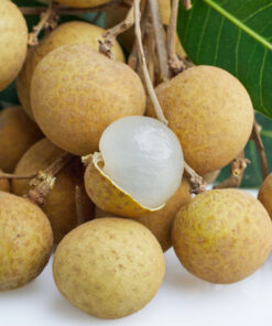 Fresh Fruit Longans 500g