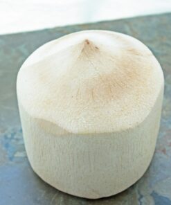 White Young Coconut Dua Xiem Xanh Ben Tre 1 piece